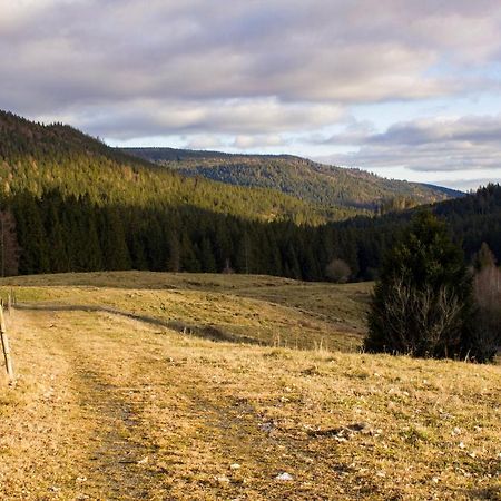 Gemuetliche Ferienwohnung - Mitten Im Schwarzwald Bernau im Schwarzwald Kültér fotó